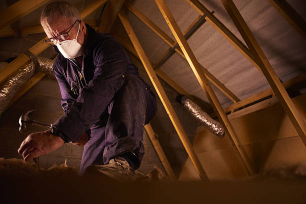 Best Insulation Maintenance and Repair in Englewood, CO